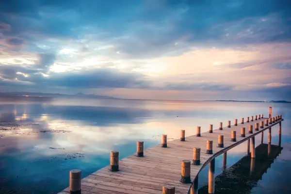 法律实现什么目的