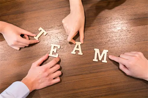 订立法律原则是什么