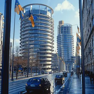 低碳转型的法律是什么