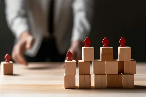 法律审查简称法审什么